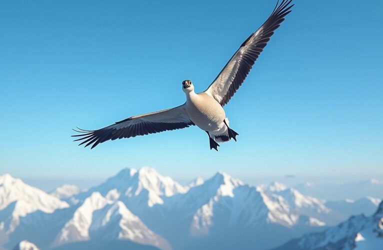 bird soars above airplanes