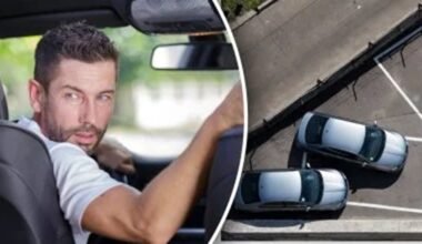 patyrę vairuotojai meistriškai parkuojasi atbuline eiga