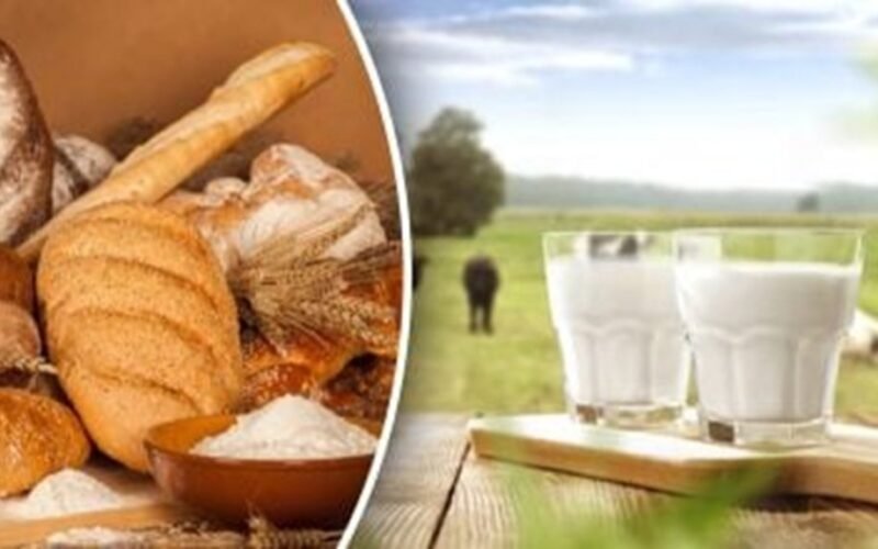 experts list best worst foods