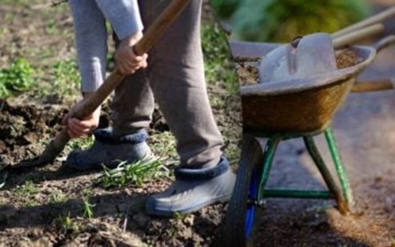 rugsėjo mėnesio sodininkystės kalendorius