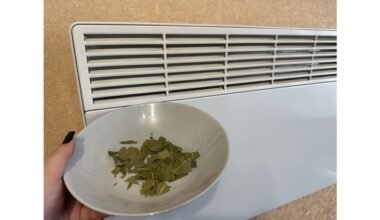 broken bay leaves by radiator