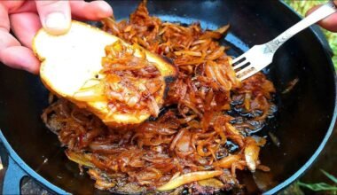 caramelized onions in twenty
