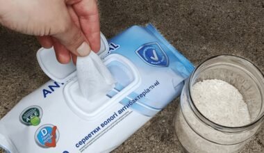 homemade wet wipe rice airfreshener