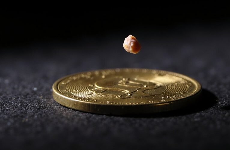 prevent coin shaving and fraud