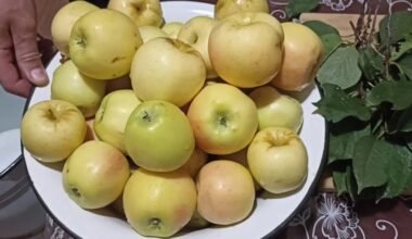 quick stovetop apple fermenting method