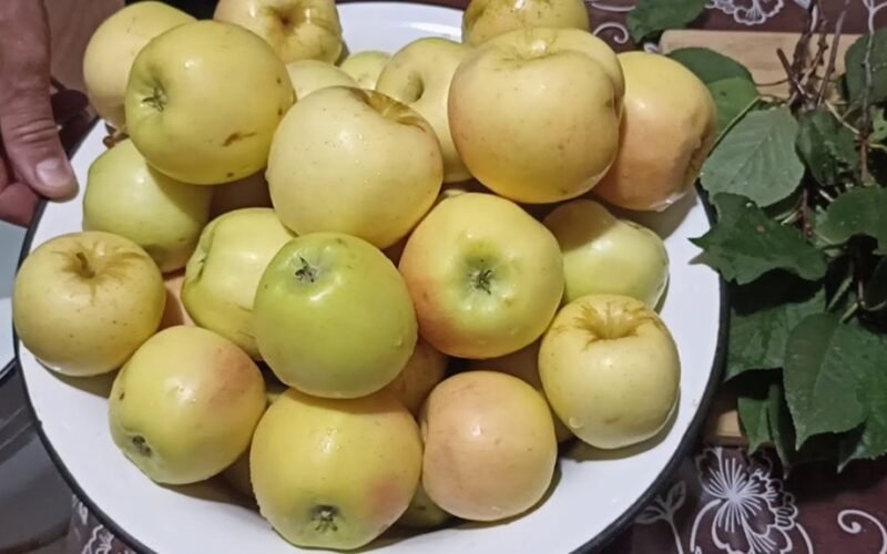 quick stovetop apple fermenting method