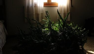 prietaras nestatykite kalėdų eglutės