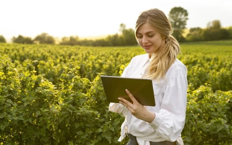 2026 metų mėnulio sodinimo kalendorius