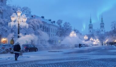 arktinė atšalė pataikė į Baltijos regioną