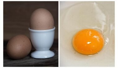 perkant šviežiausius kiaušinius trys žingsniai