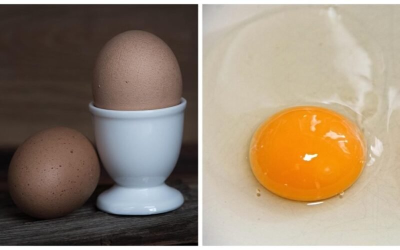 perkant šviežiausius kiaušinius trys žingsniai