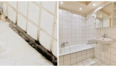 pigus pelėsio žudikas veikia greitai