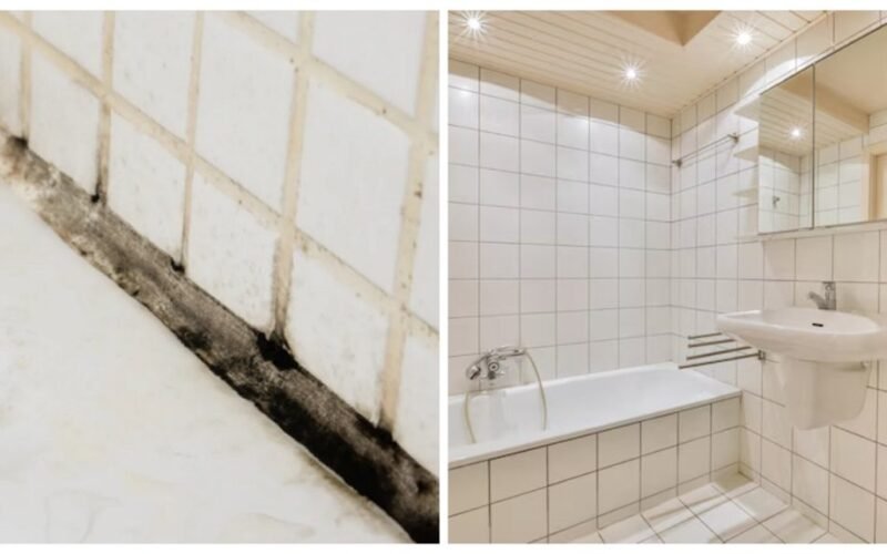 pigus pelėsio žudikas veikia greitai