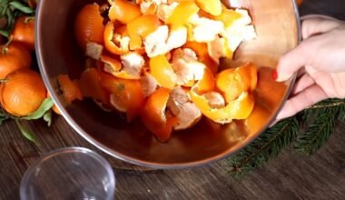 Naminis citrusinių vaisių acto valiklis