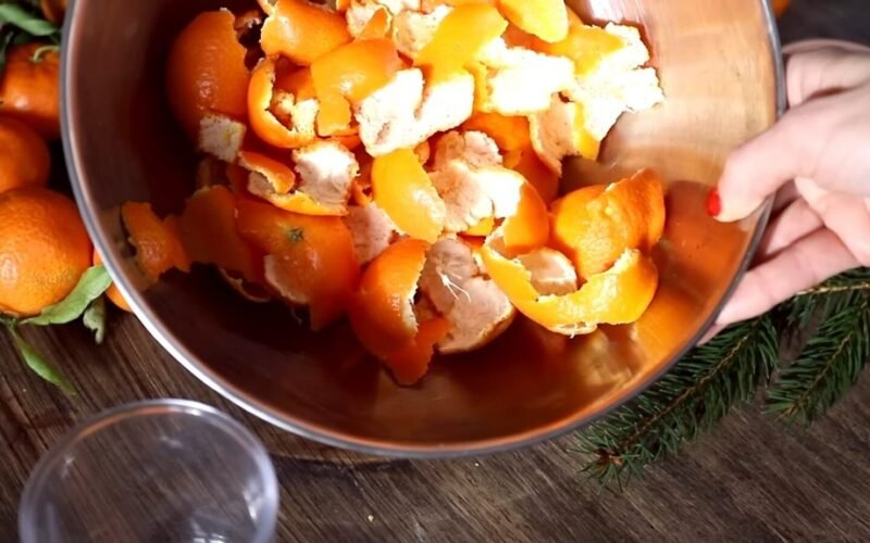 Naminis citrusinių vaisių acto valiklis