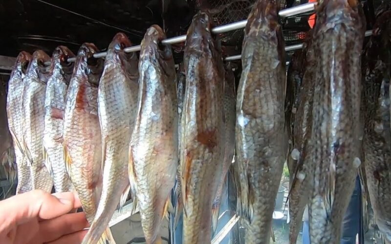 dry fish head up technique