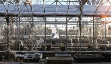 tuščias šiltnamis švaistymas derlius