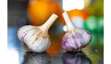 tvirti švieži česnakai laikosi per pavasarį