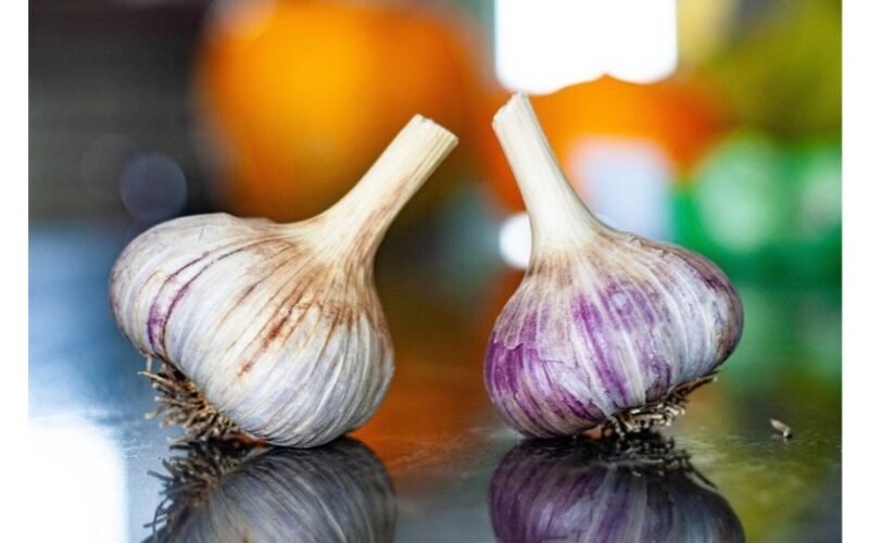 tvirti švieži česnakai laikosi per pavasarį