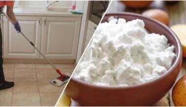 draugas juokėsi krakmolas valymas blizgesys