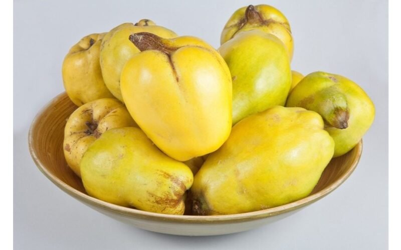 vaisius atsisako rudens derliaus