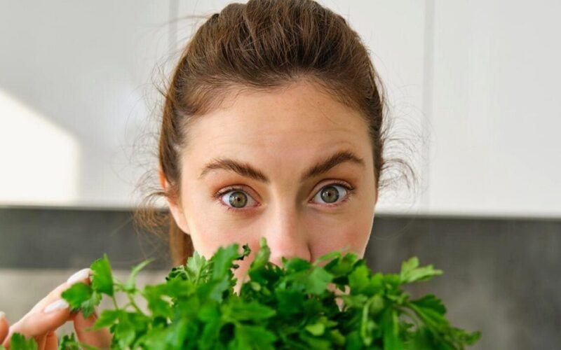 herbs preserved without freezing