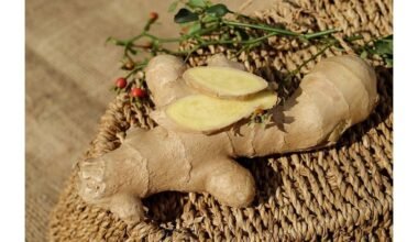 naminis imbierinis šildantis eliksyras