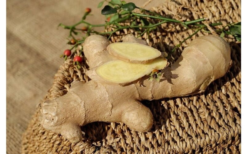 naminis imbierinis šildantis eliksyras