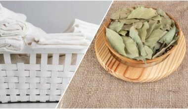 prabangus blizgesys nepriekaištingai švarūs skalbiniai