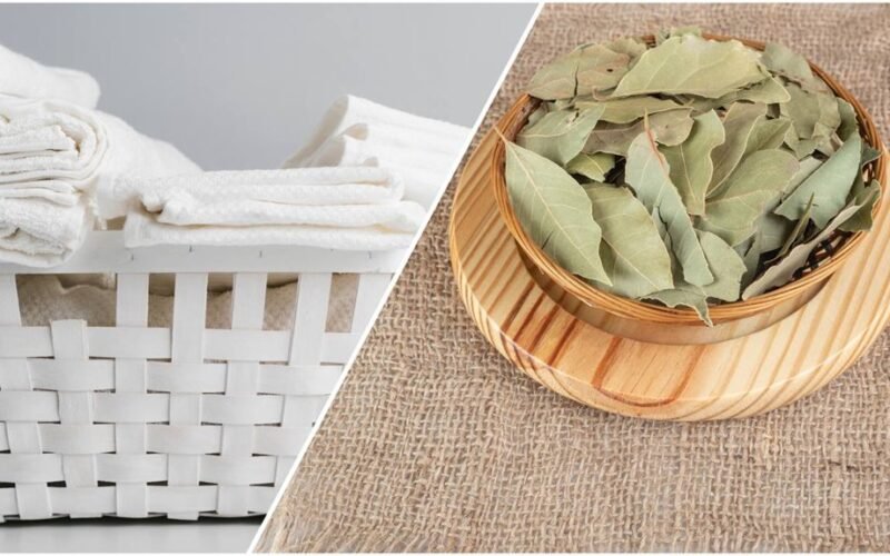 prabangus blizgesys nepriekaištingai švarūs skalbiniai