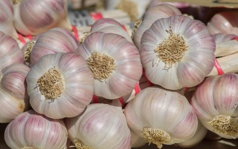 kaimynai vis dar renkasi mikroskopinį česnaką