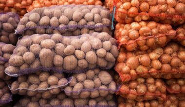 svogūnai imtyniauja su bulvėmis