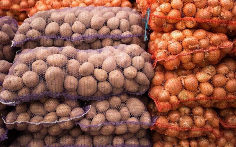 svogūnai imtyniauja su bulvėmis