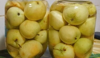 Marinuoti obuoliai atgaivina viską