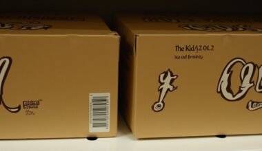 mažesnis pakuotė ta pati kaina