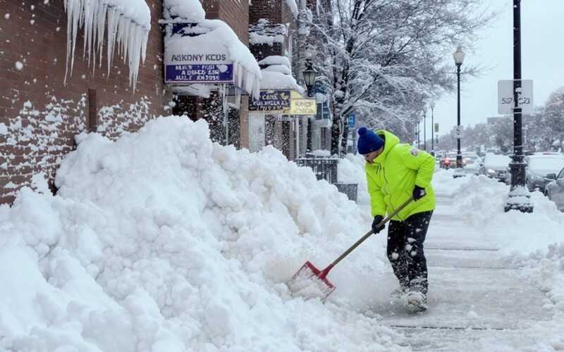 sniego pusnys didėti