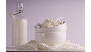 tangy fermented cream cheese like spread