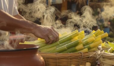 Ar mes visi valgysime bambuką?