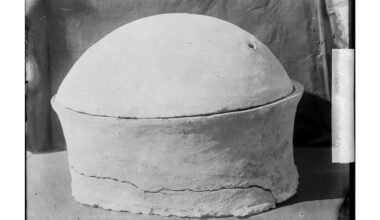 4 800 metų senumo egiptietis vyras 20 kilmė