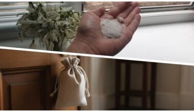 lauro lapas moneta druska maišelis