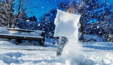 plėšti pagalves šviežiame sniege