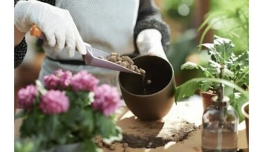 geriausias dirvožemio drenažo produktas