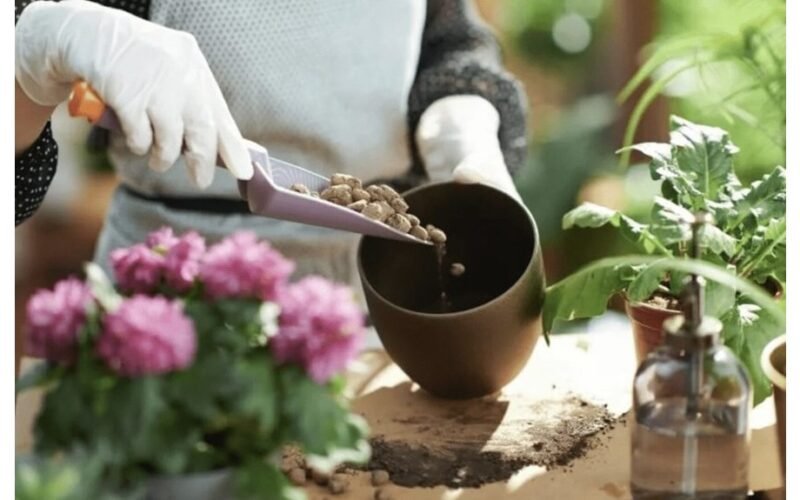 geriausias dirvožemio drenažo produktas