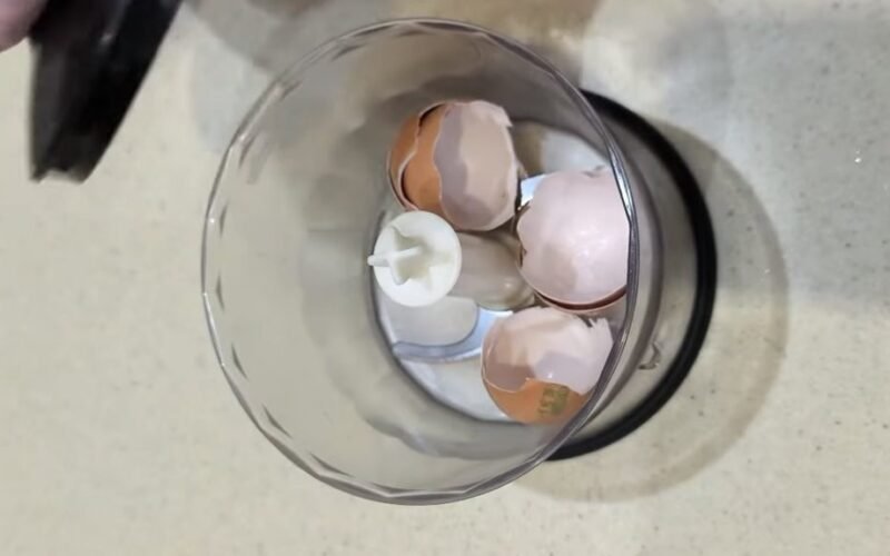 blenderis padaro lukštus skustuvo aštrumo