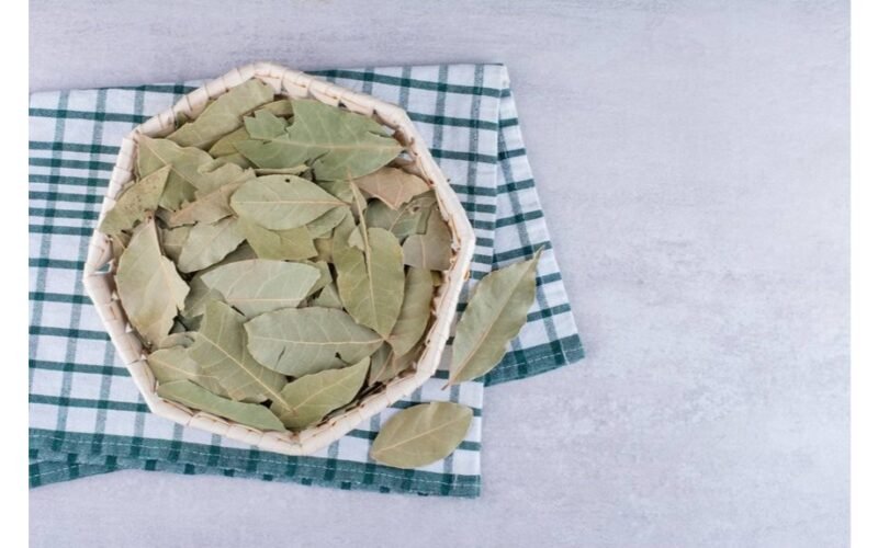 sudeginti laurų lapus išbarstyti pelenus