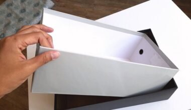 branginamos dėžutės nuo batų daiktų tvarkymui