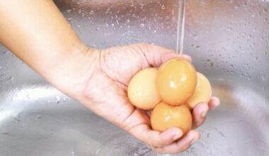 Neplaukite grybų prieš gamindami