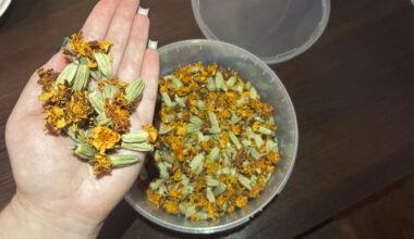 sausa ramunėlių žolė tris kartus per dieną