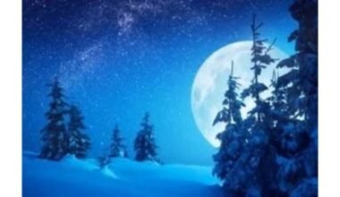 žiemos pabaiga penki taikiniai