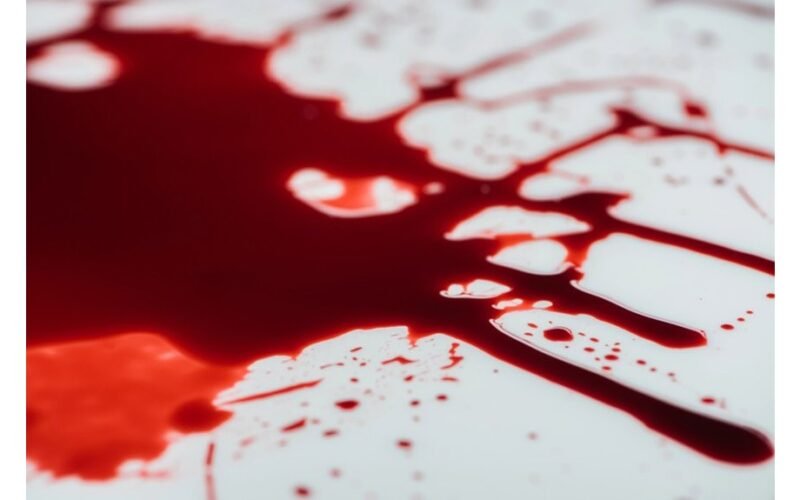 bilieto vengėjas nužudo kontrolierių